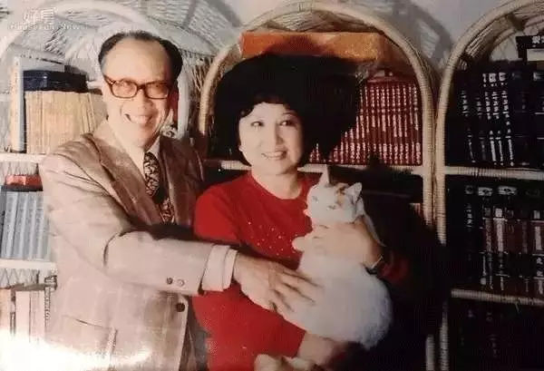 71岁的梁实秋在妻子故去半年后从美国应邀去台,于偶然中认识小他28岁