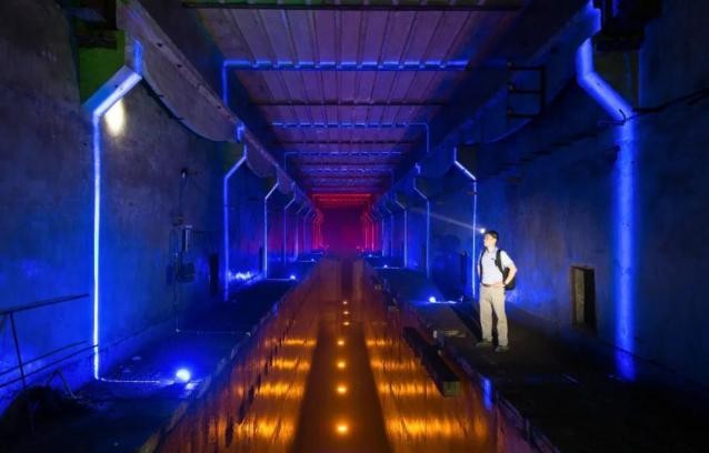 今年暑期，这3部电视剧超火，主角全部来自重庆这所高校！