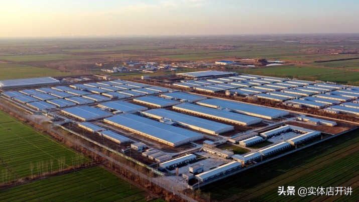 高考物理2分复读懵进北大，左手猪肉右手醋饮：北大才子的生意经