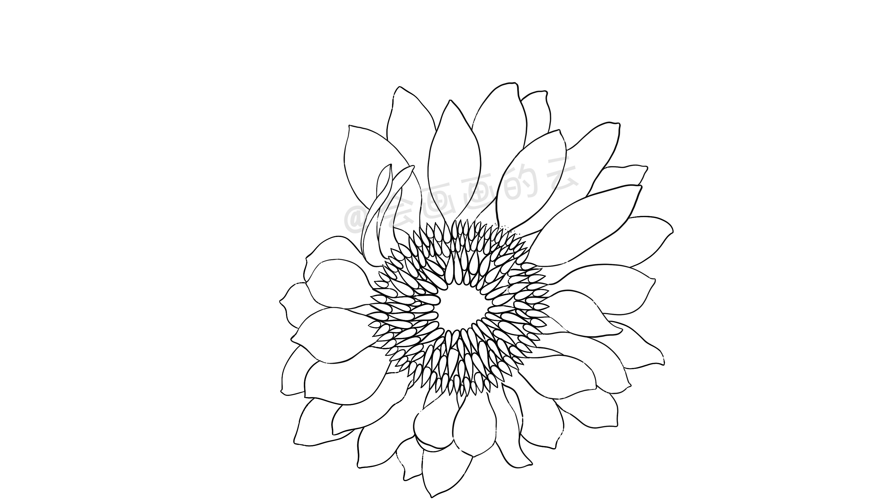 线条的魅力，线描插画过程图详细步骤讲解，教你如何零基础画画
