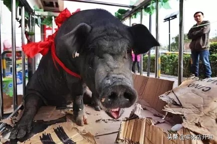 高考后去妈妈店里（高考物理2分复读懵进北大）