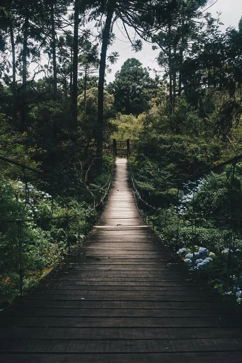 九言 | 人生如行路，一路艰辛，一路风景