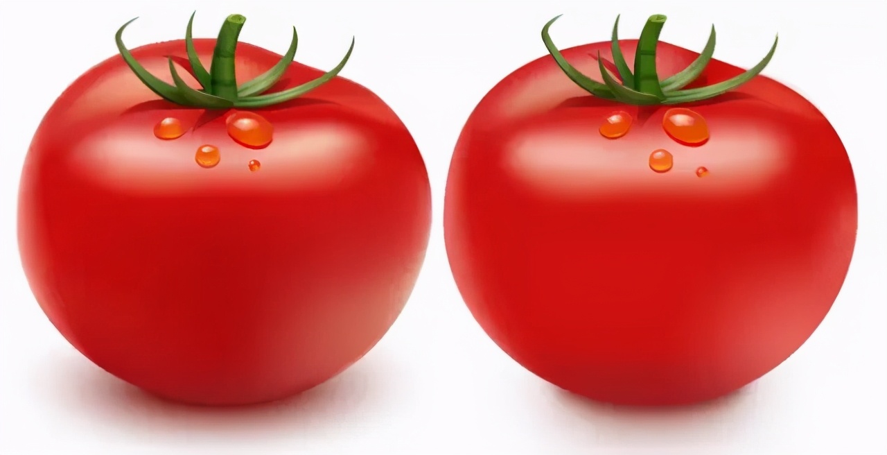 吃小西红柿可以减肥吗（番茄和圣女果减肥期间应该怎么选）