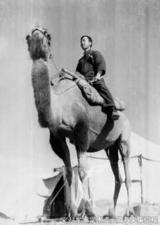 殷鸿福院士：一颗扎根地学的“金钉子”