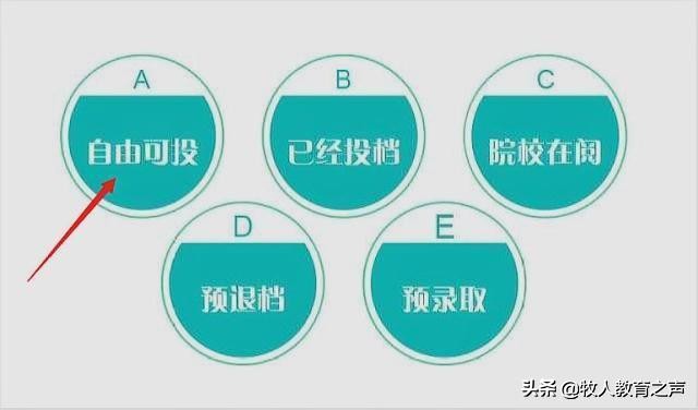 高考录取查询时，考生档案显示自由可投有4种可能，考生要看清楚