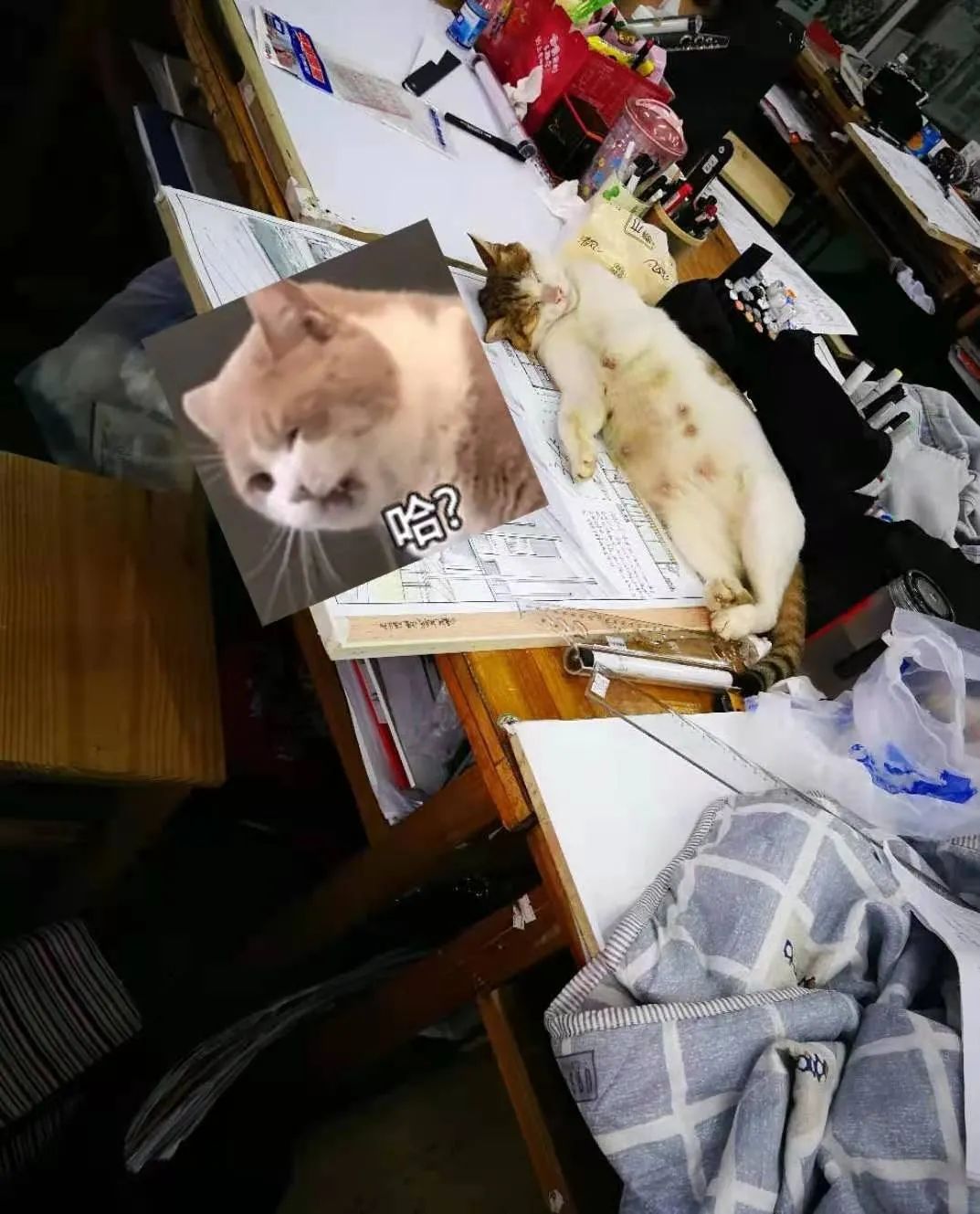 北京服装学院考研经验分享