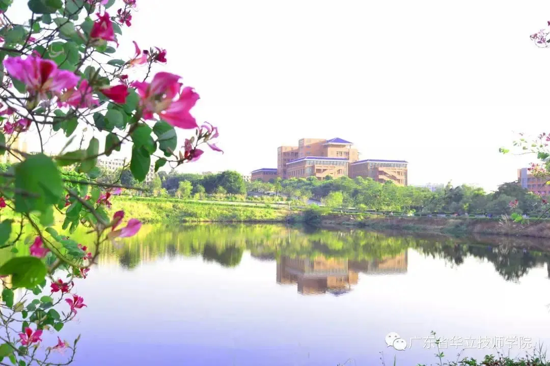 广东省华立技师学院2020年招生资讯