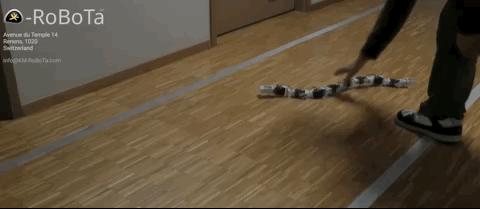 鳗鱼劈断后下半身还能运动，机器人：拿来吧你丨Science子刊封面