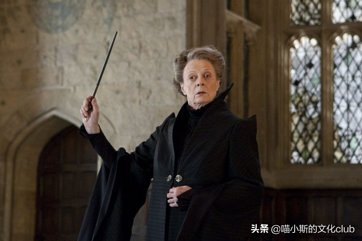 《哈利·波特》:盘点那些心中只有"白月光",一生未婚的巫师们