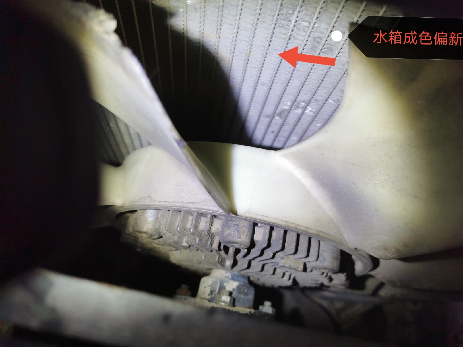 聽說這個地方的二手車便宜！是真的嗎？