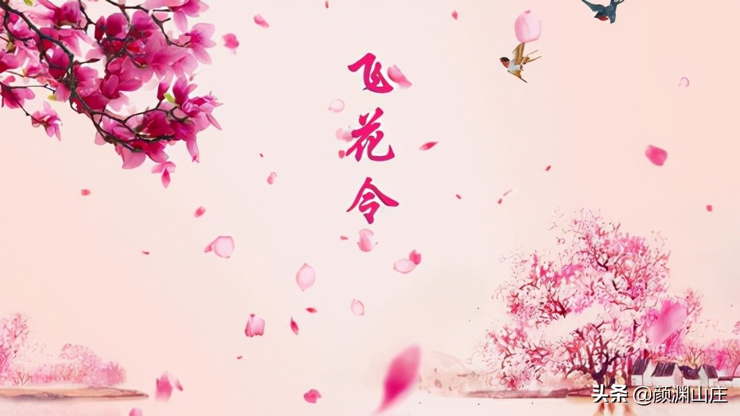 花开满园皆风景，爱花之人醉其中