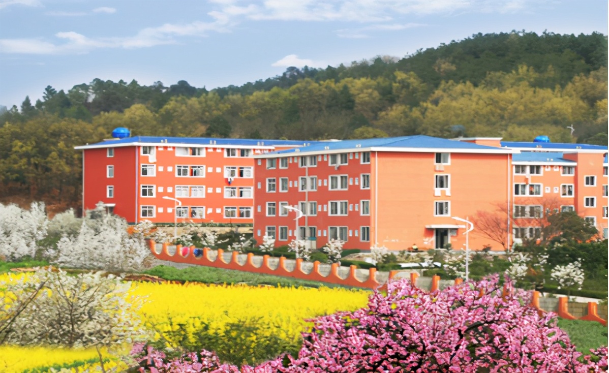 民办不如公办？最受艺考生欢迎的十大民办艺术类高校盘点