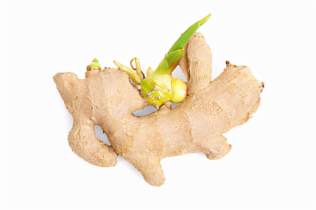 食物发芽后还能吃吗？