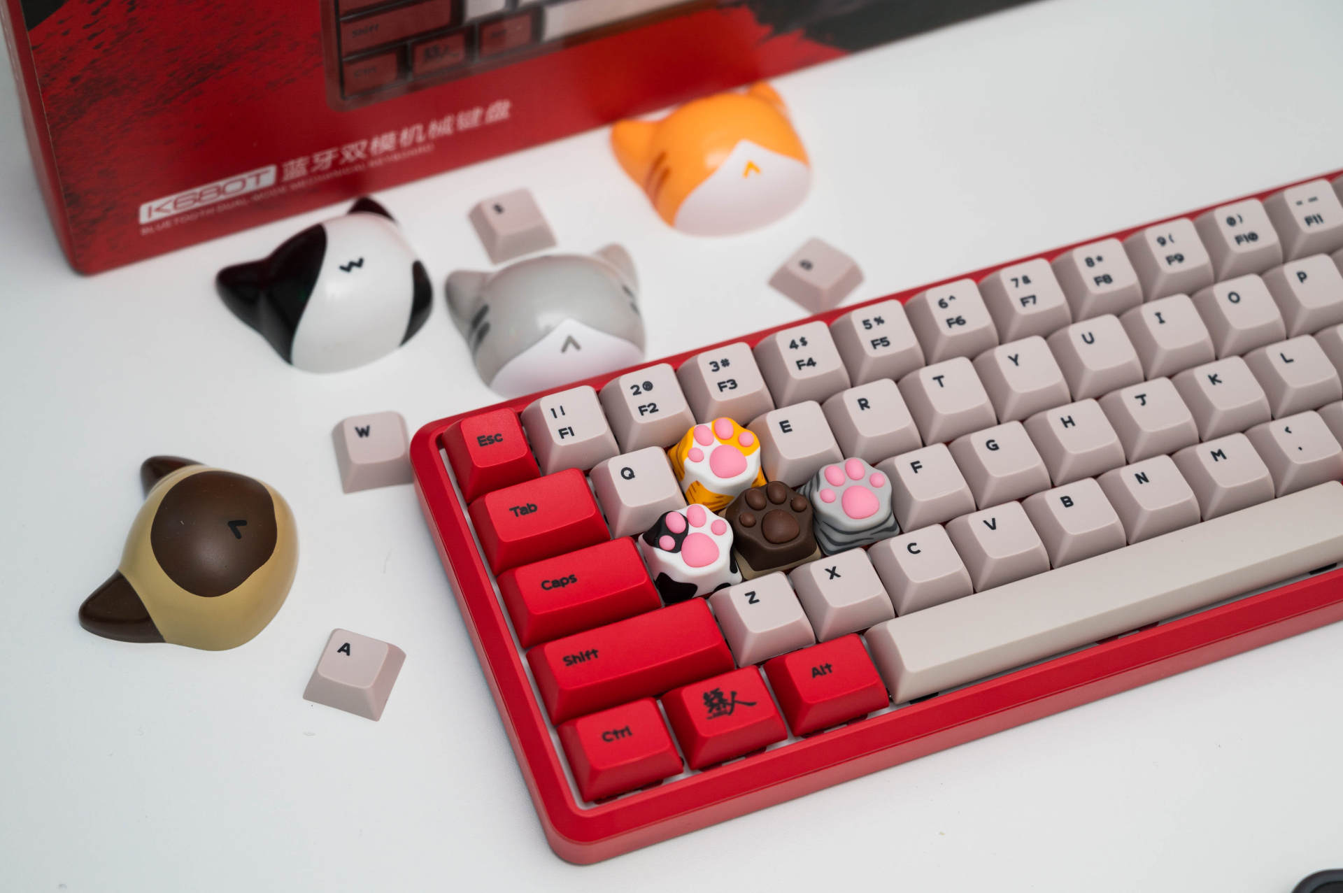 客制化68键配列的颜值巅峰，黑爵镖人机械键盘上手体验