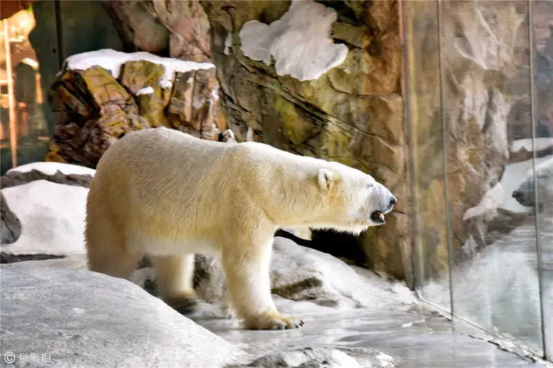 长隆欢乐世界旅游攻略景点必去（三天三夜欢乐长隆之旅）