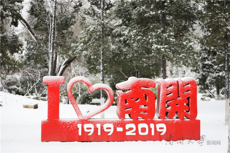 他们曾是校友，如今同在南开大学任教，已是博导、高级工程师，还一起获奖！