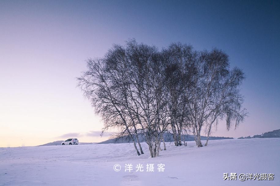 记忆里最美的冬日雪景，或许还是那片幽静美丽的白桦林