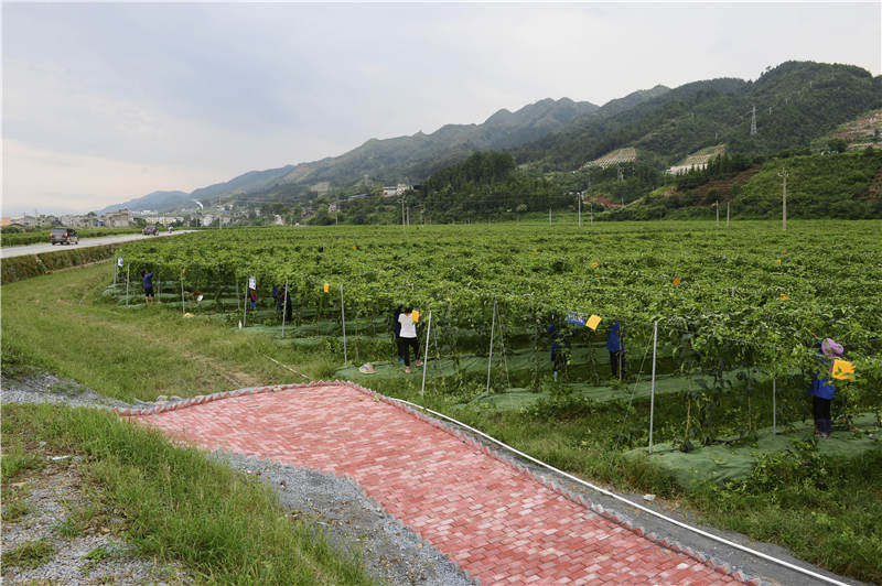 榕江脱贫：搬离大山后的新生活