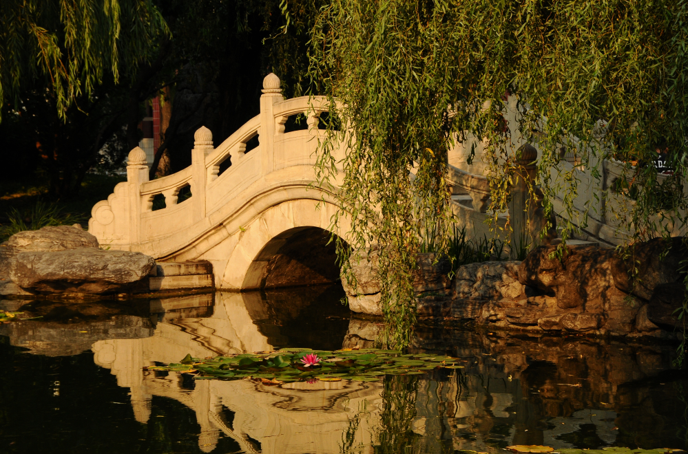 中国唯一一所以