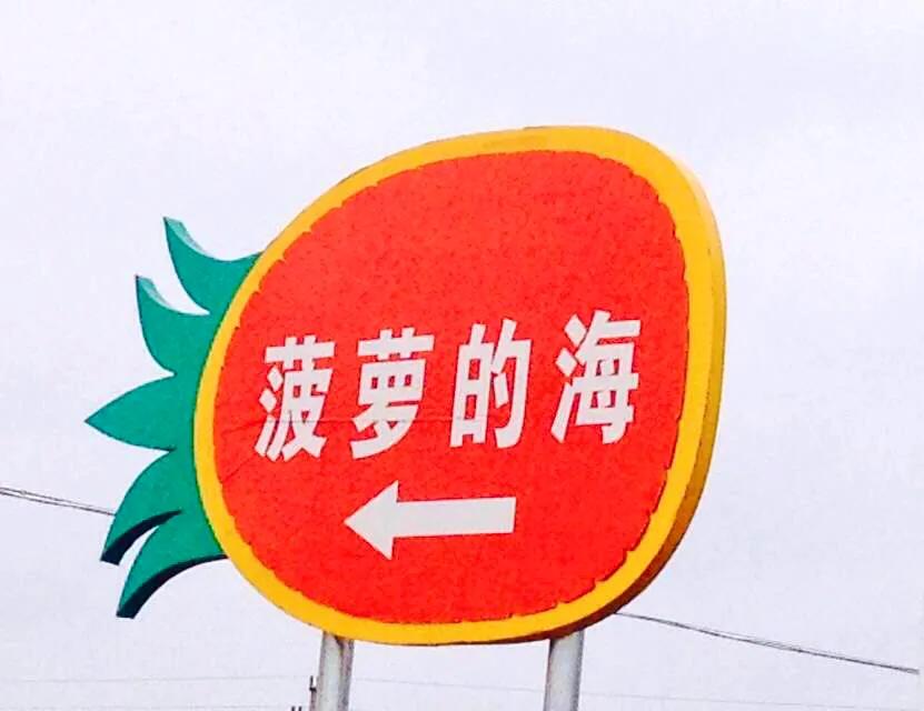 菠萝的海：海南最美田园画卷