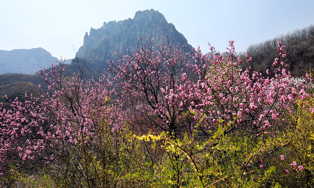 赏一场花宴，踏一方青翠，沉醉于太行山巅的世外桃源