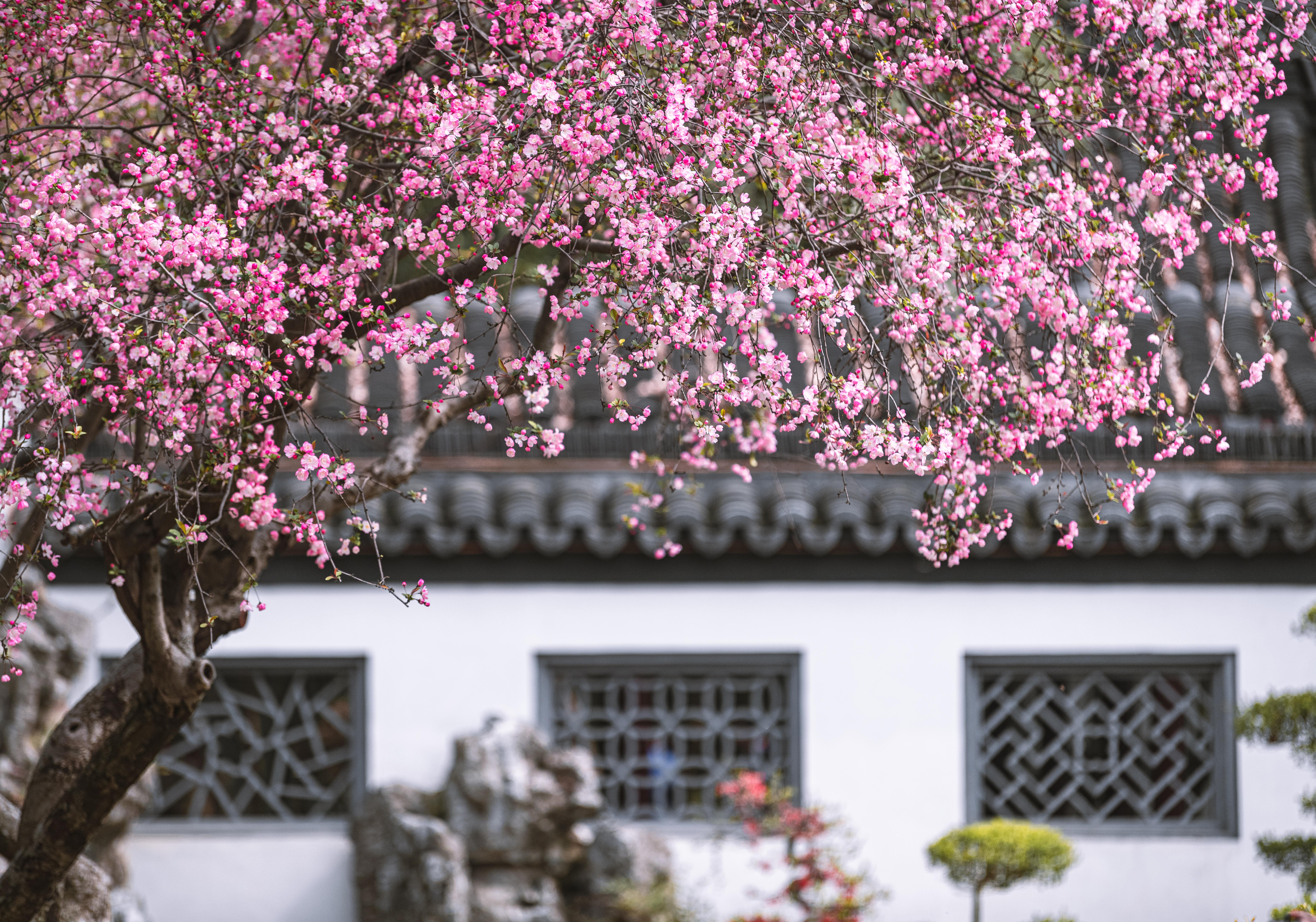 这两座千年古城，一个是风水之都，一个代表了中国传统建筑艺术