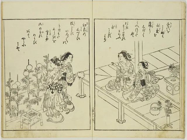 东瀛志：为什么日本人如此喜欢菊花？