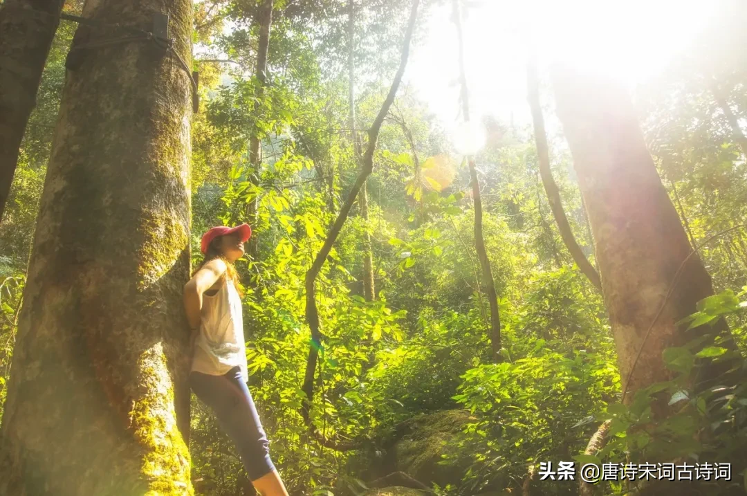 暮春来，初夏到！20首暮春诗词，告别最美春天