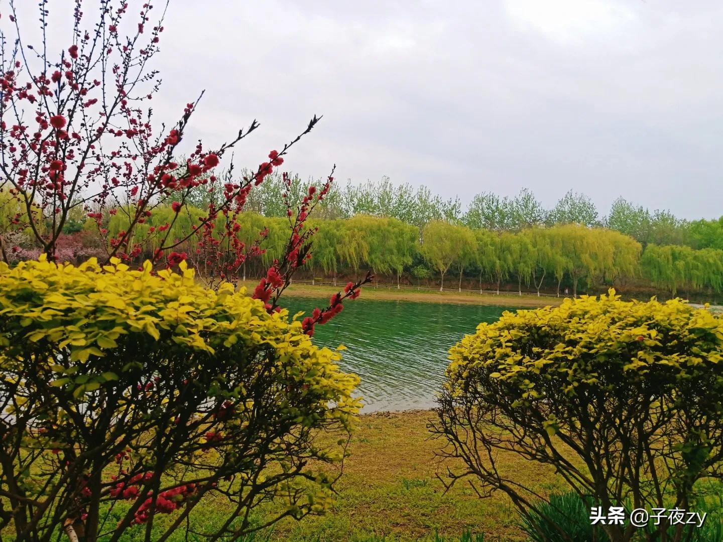 如何搞好平台创作赢得爆文