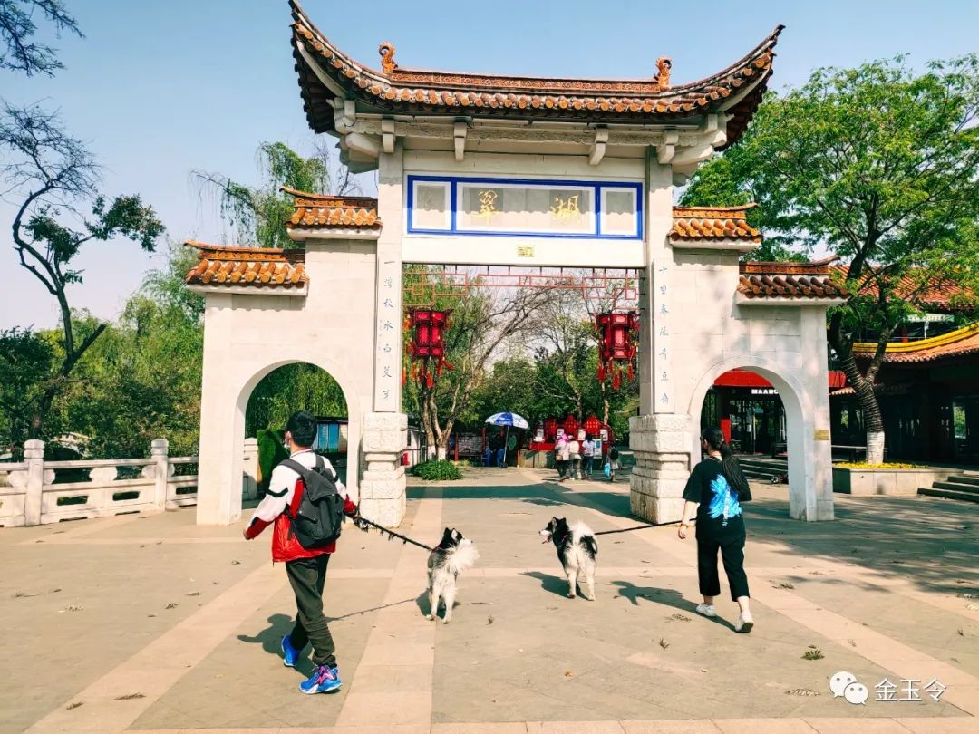 走过广场舞的前世今生