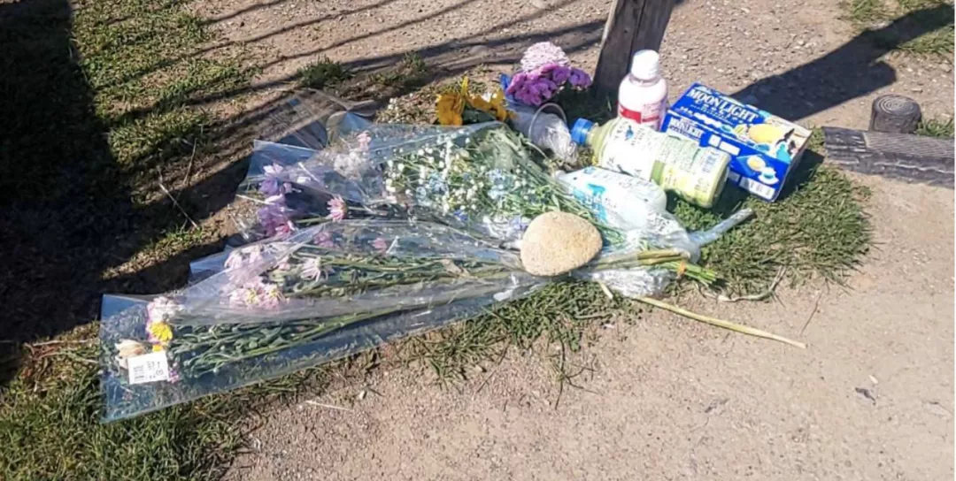 小女孩被霸凌自杀，日本校园暴力为何普遍而恐怖？