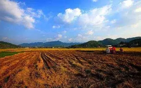 农村征地补偿标准,农村征地补偿标准2021