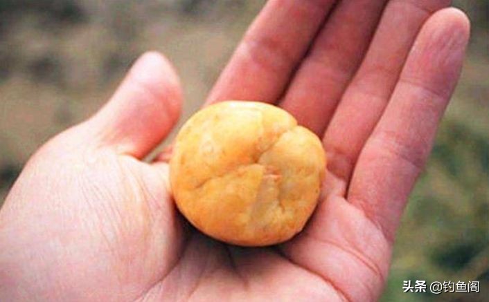 巧用玉米和白面自制鱼饵，野钓主攻鲫鲤，环保又省钱！