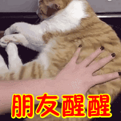 八一八上海小朋友的校服，哪所学校才是魔都颜值Top 1？