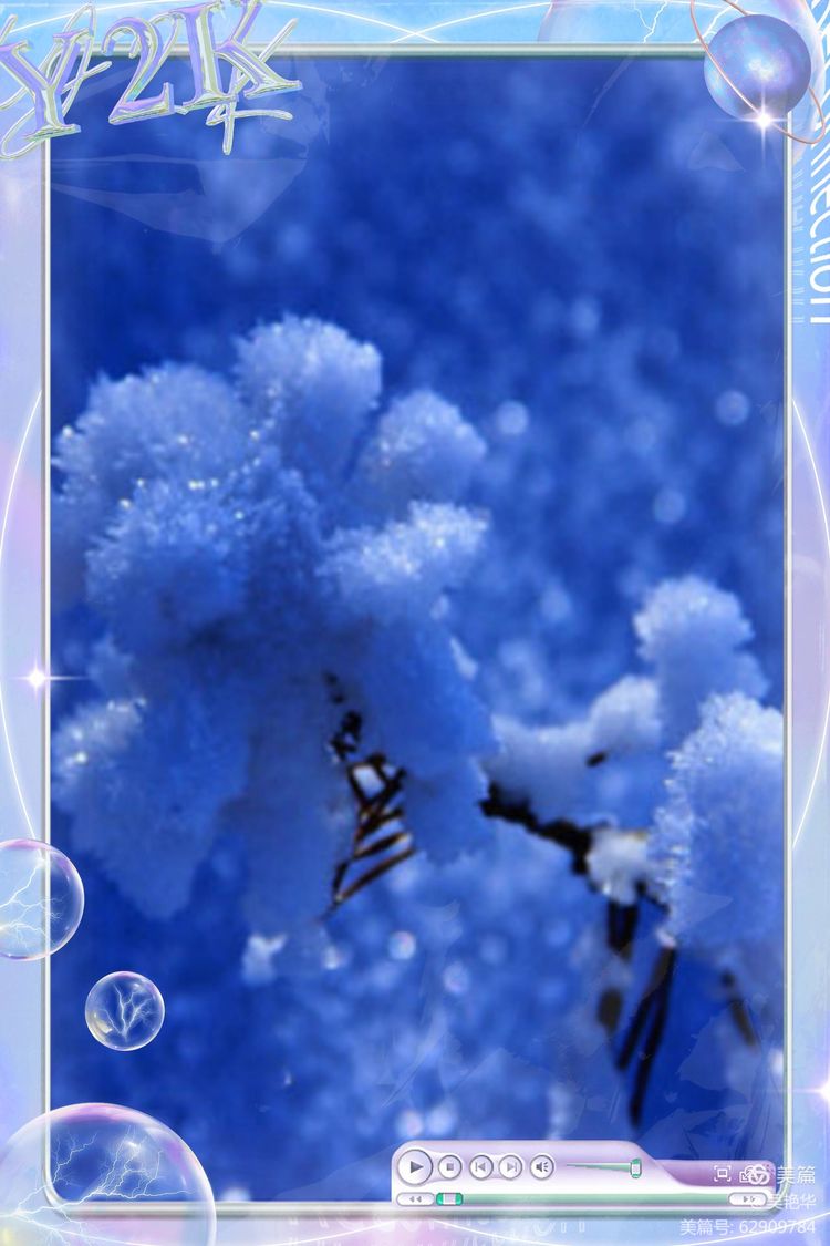吴艳华：冰凌花