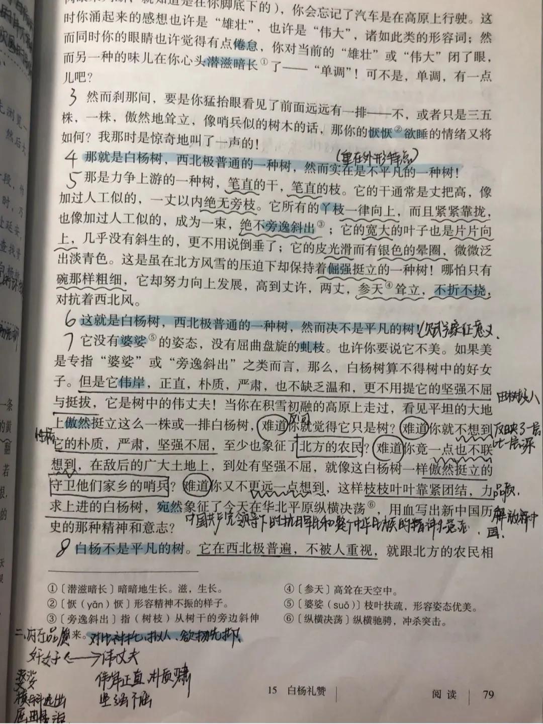 八年级语文上册十五课《白杨礼赞》课文笔记，自主预习的好帮手