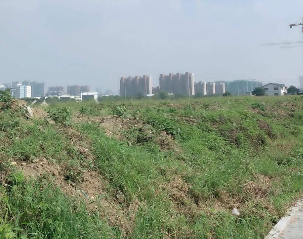 实地探访河海大学苏州研究生院