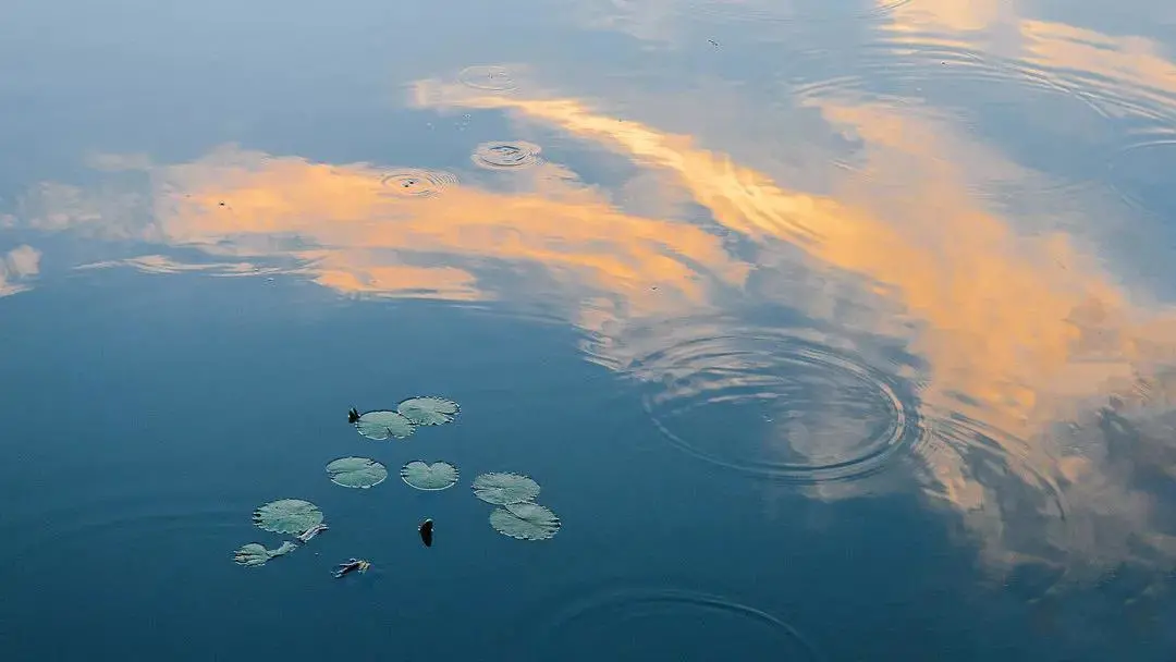 天津大学，为什么是中国最有“侠气”的大学？