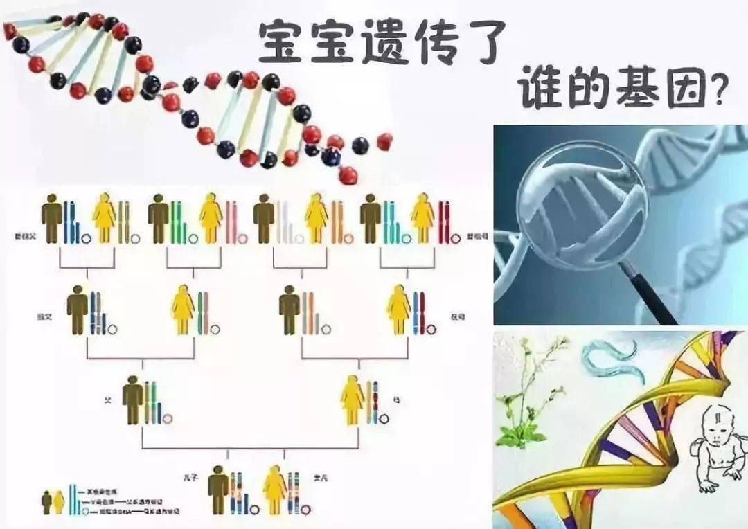 可爱婴儿萌图片大全（婴儿界中的）