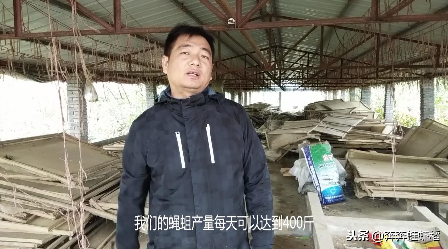 青蛙養殖成本,青蛙養殖一畝要多少錢