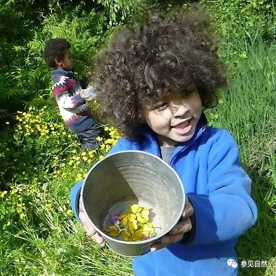 森林学校的启示：大自然是孩子最好的老师