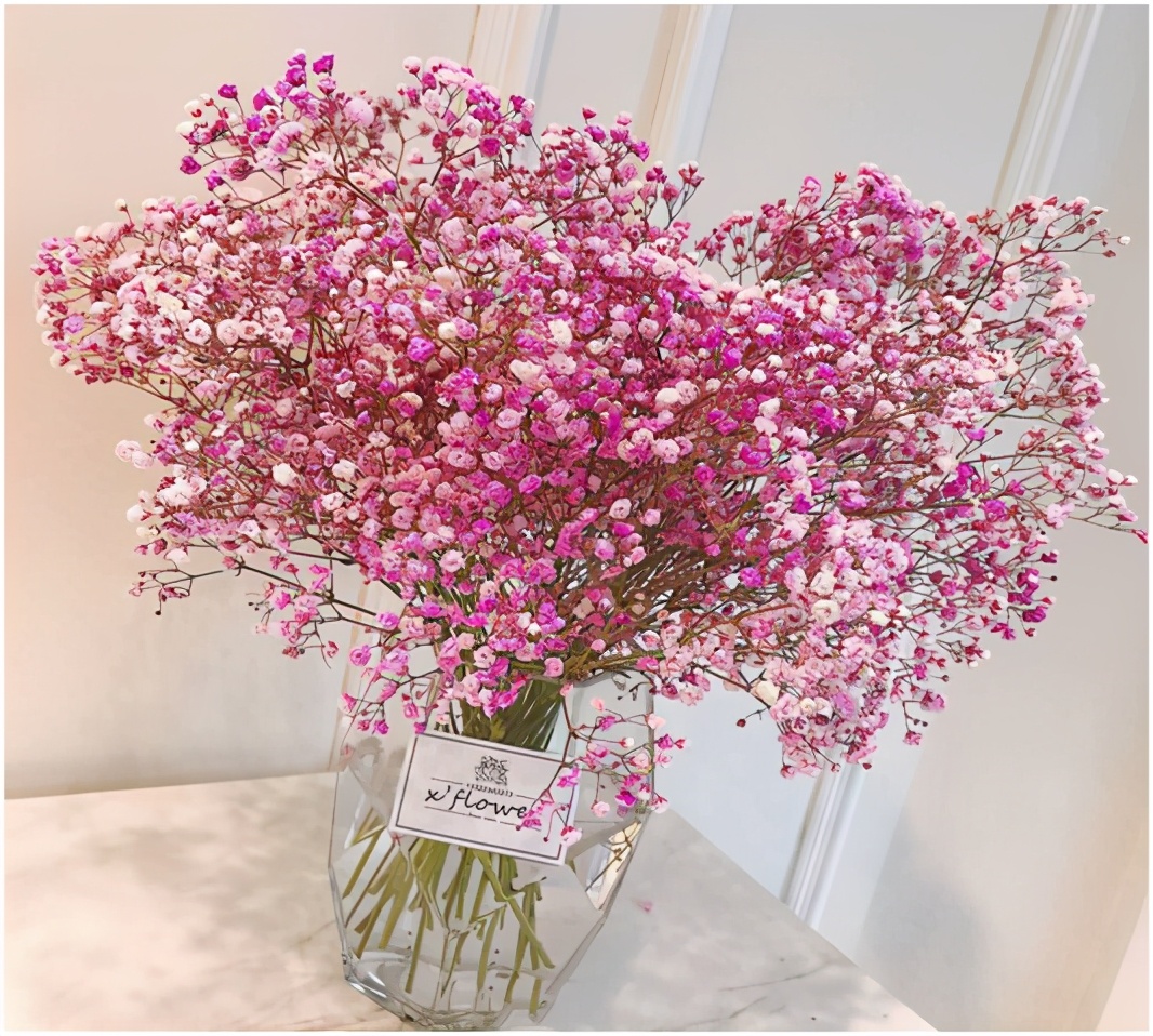 发关于满天星的说说(收到满天星发朋友圈的说说) _晶羽文学网