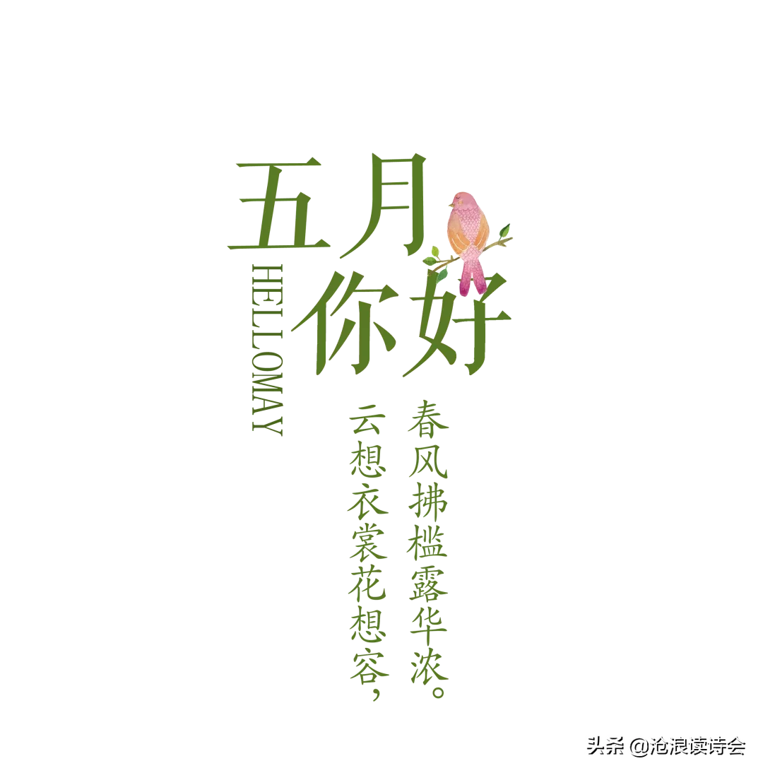 五月，你好！51首好诗送给流年，愿你风雨珍重，不负青春