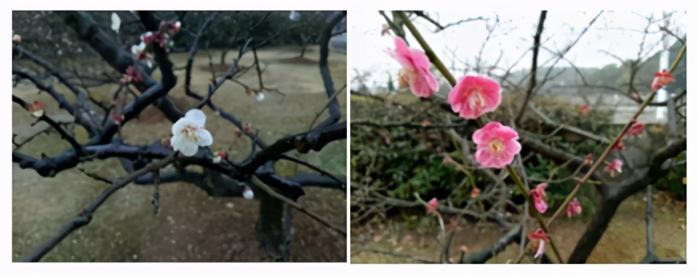 湖北“超网红”大学：依山傍水，空调宿舍，每人还配家具一套