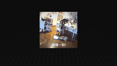 【选哪款好？】主流洗地机对比测评，教你选对型号！
