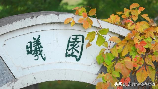 这所师范大学，真牛！一半以上学院就业率100%，但分数要求特别高