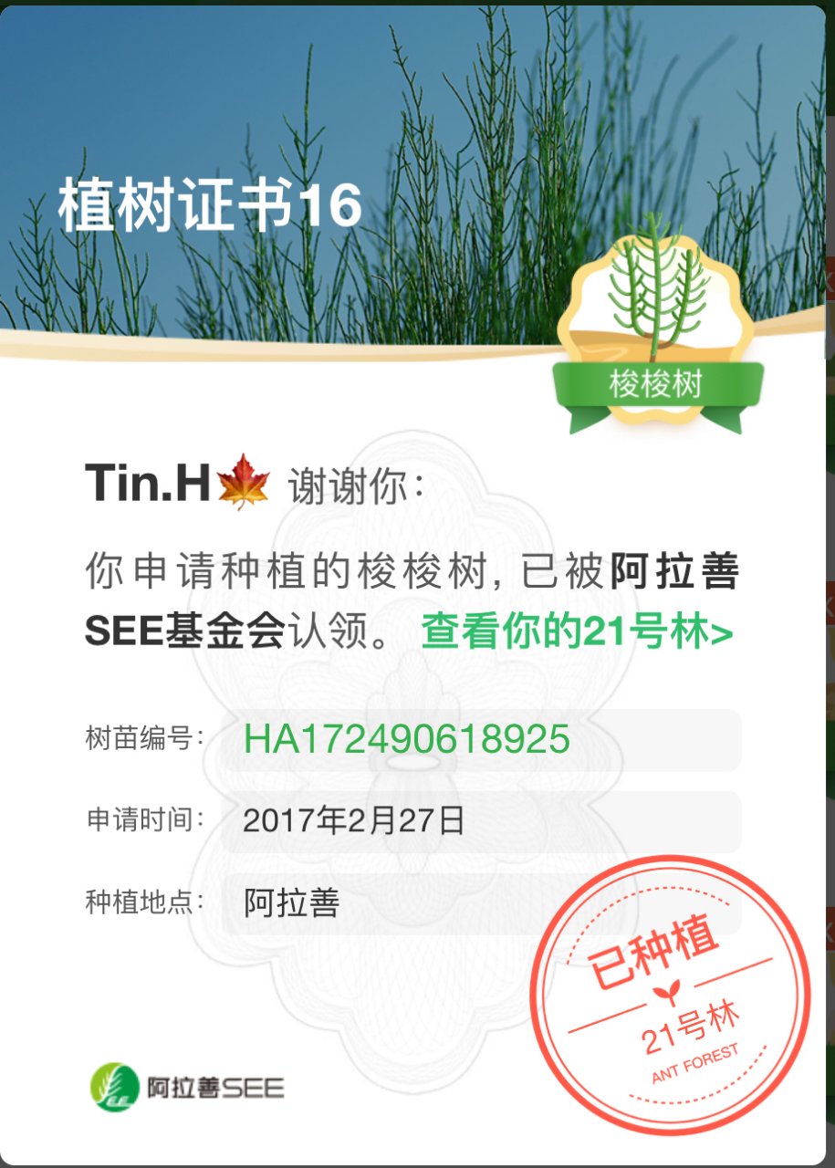 从此开启了我的蚂蚁森林之路,终于,在2017年2月27日的阿拉善种下了