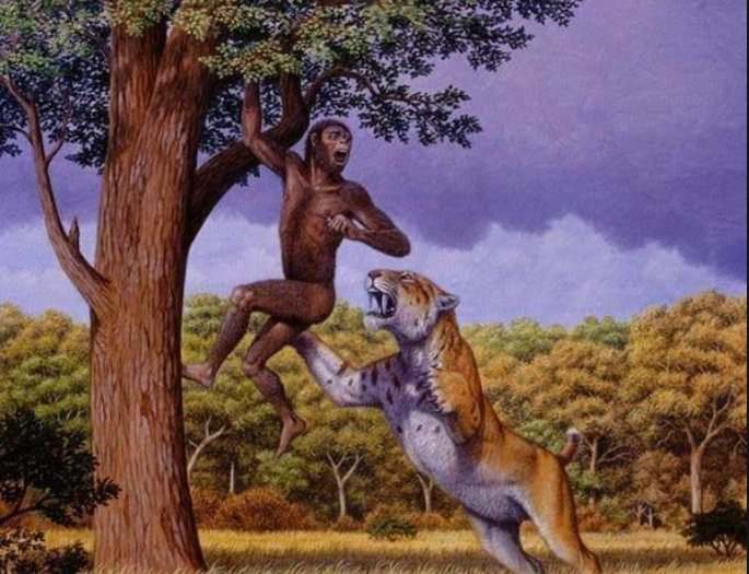 地球上原本并没有人，那第一个女人和男人是如何诞生的？