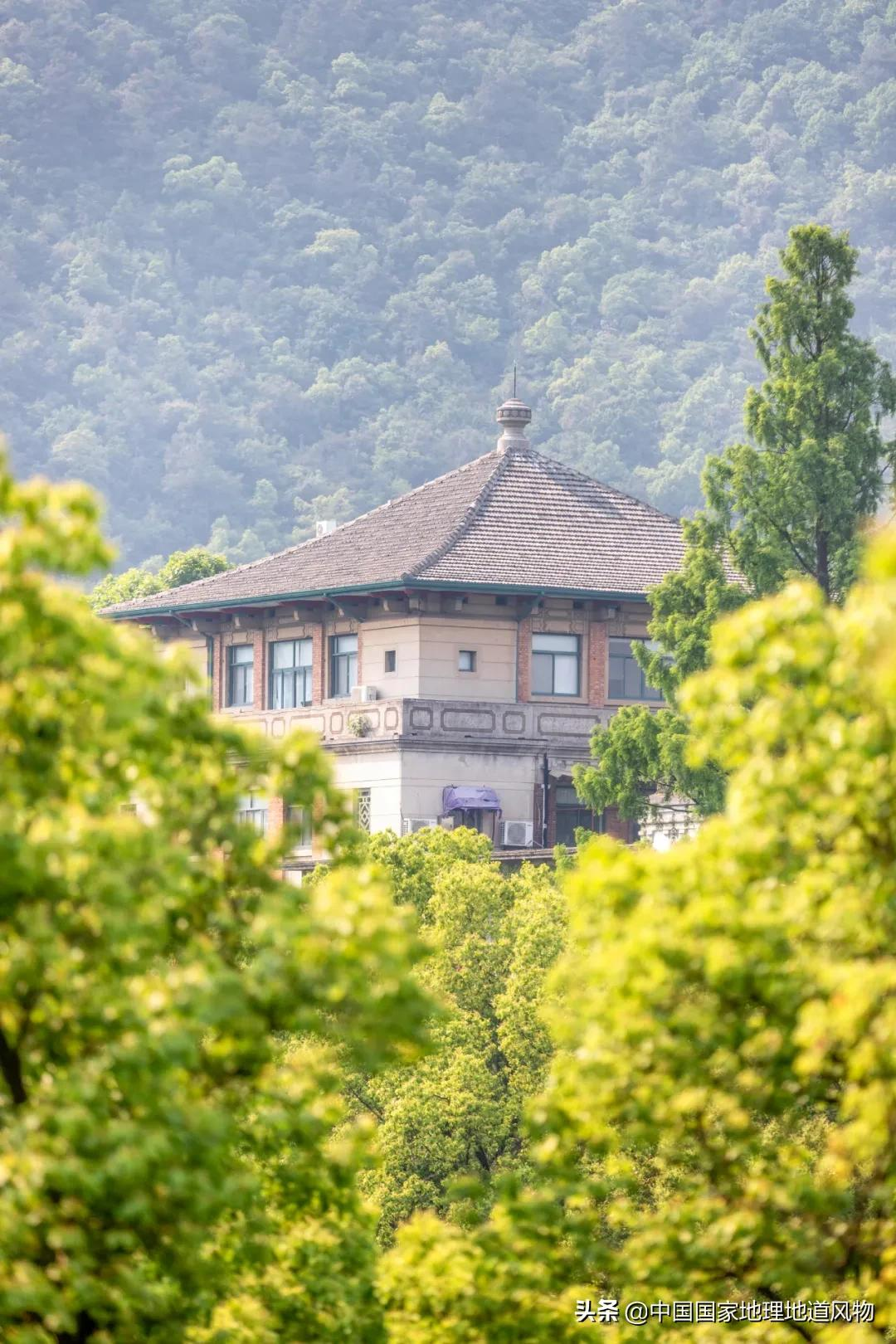 承包了“海港溪泉”的浙江大学，到底有多美？