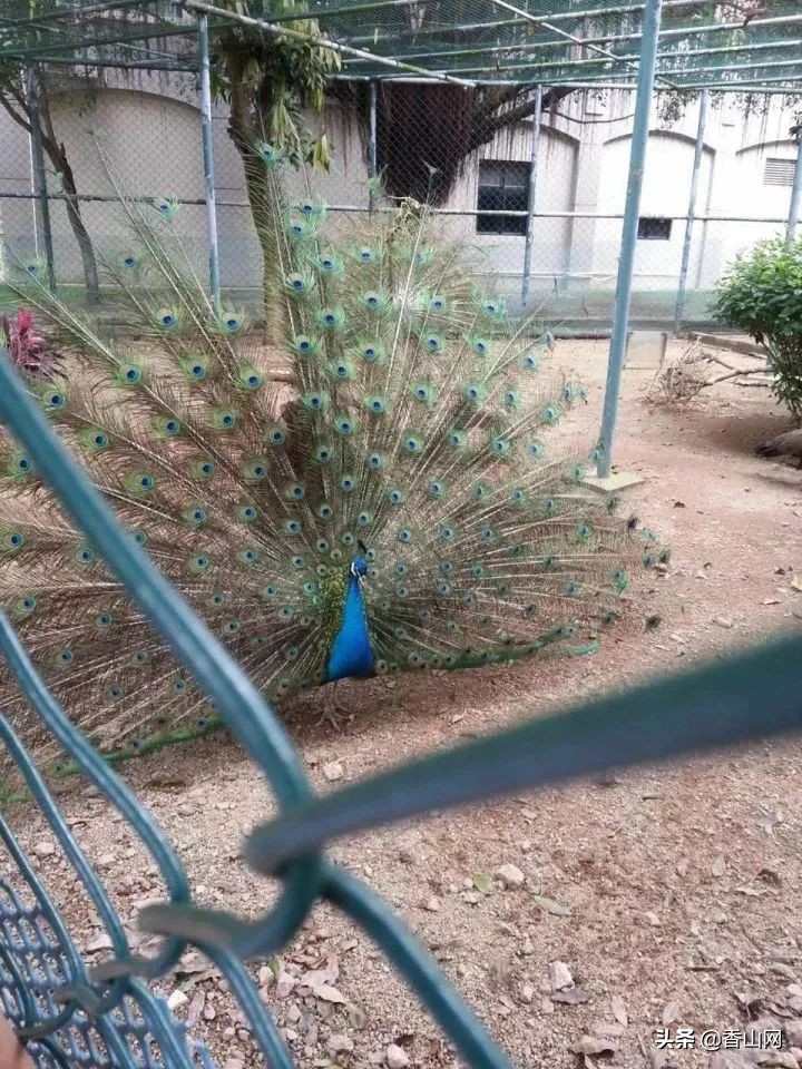 珠海一中彻底火了，全省第一